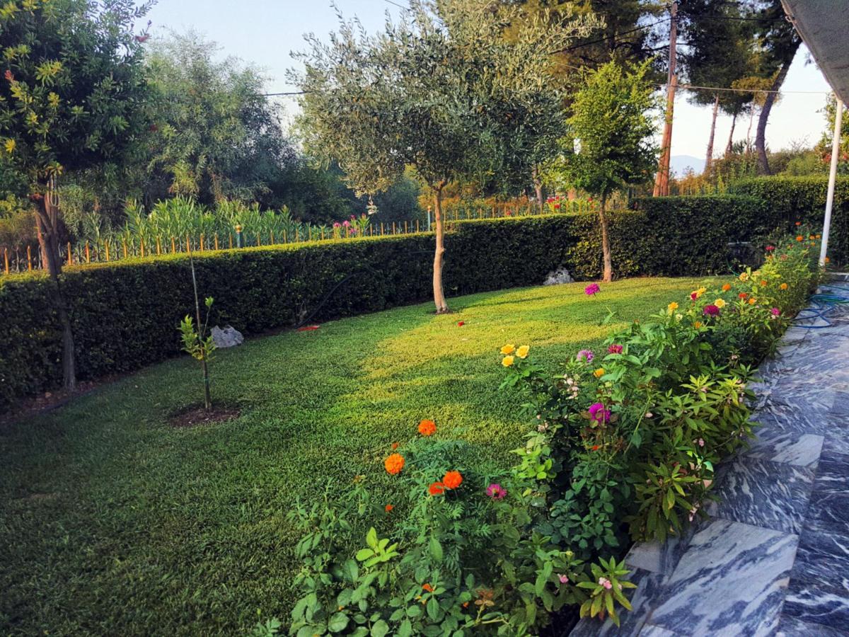 Studio Kalypso Arkítsa Dış mekan fotoğraf
