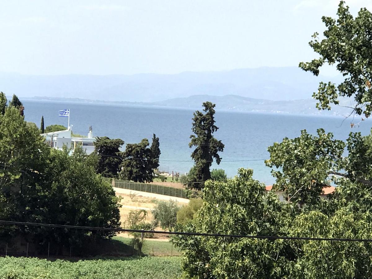 Studio Kalypso Arkítsa Dış mekan fotoğraf