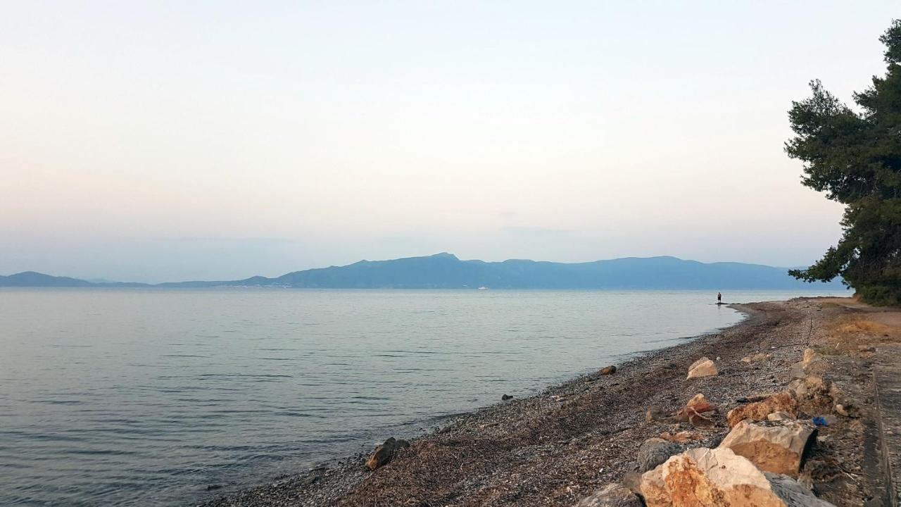 Studio Kalypso Arkítsa Dış mekan fotoğraf