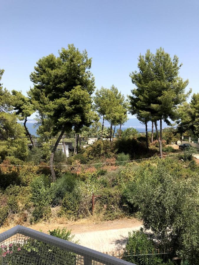 Studio Kalypso Arkítsa Dış mekan fotoğraf