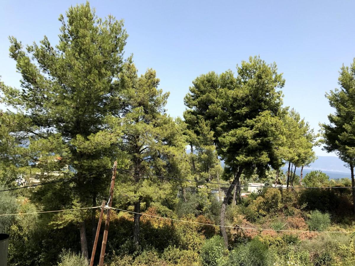 Studio Kalypso Arkítsa Dış mekan fotoğraf