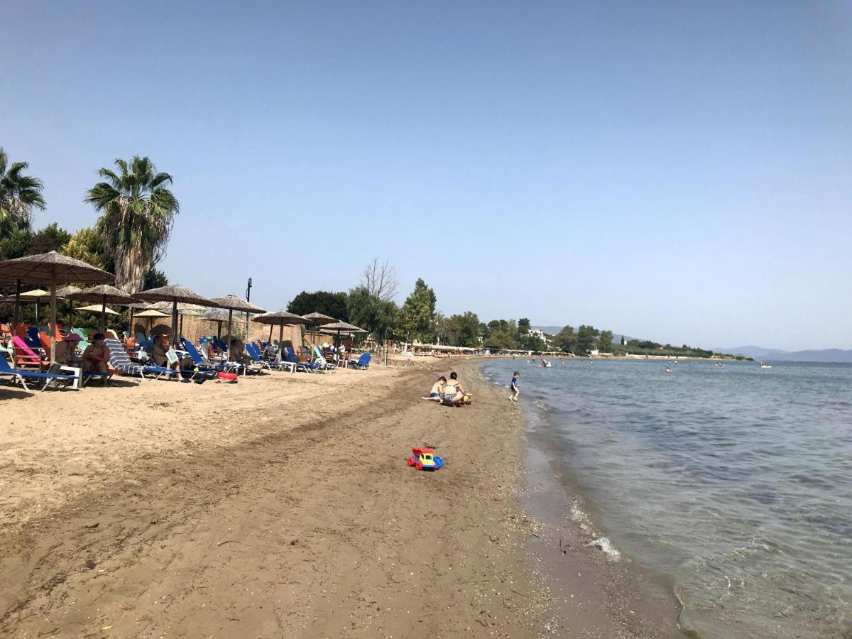 Studio Kalypso Arkítsa Dış mekan fotoğraf